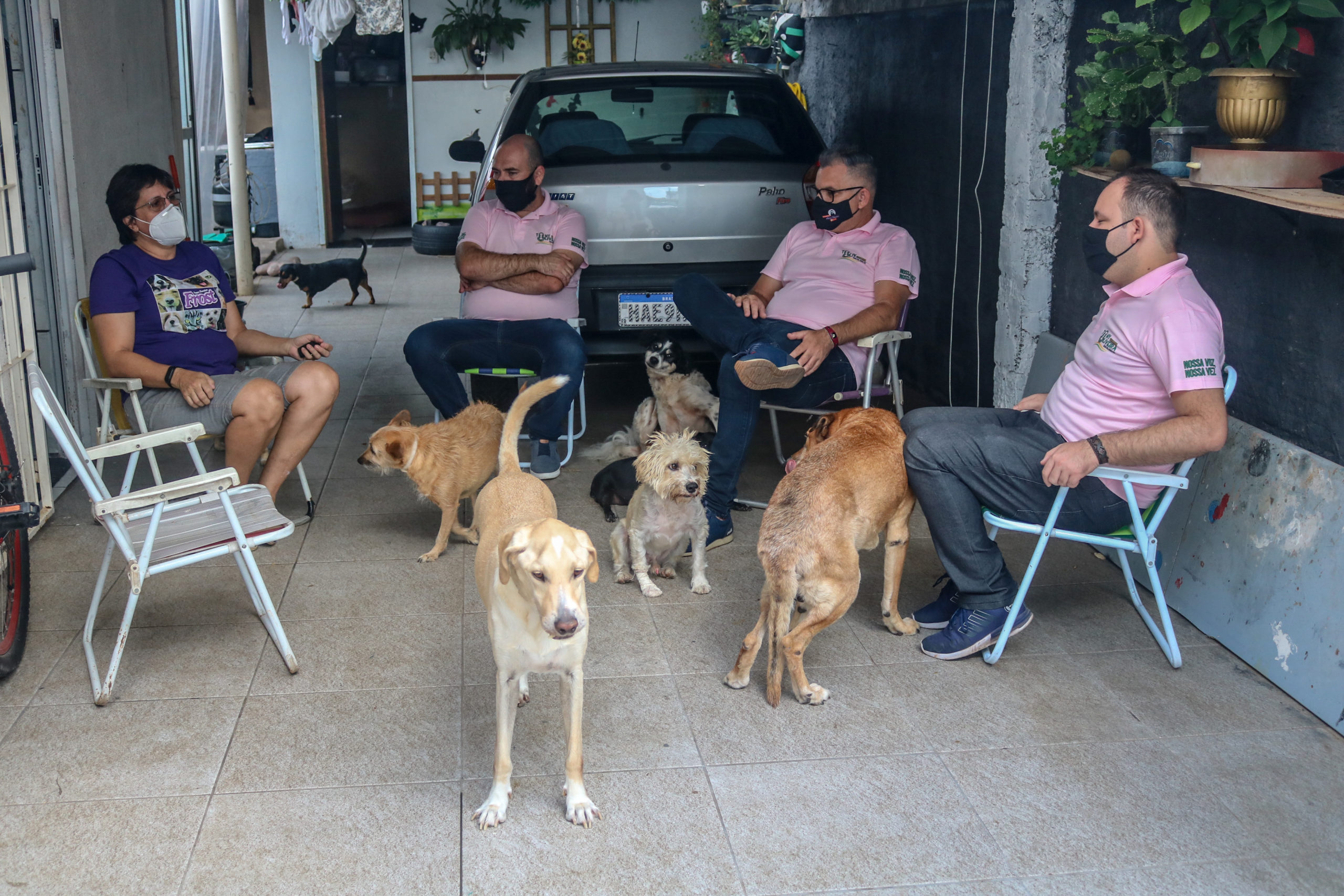 No momento, você está visualizando Encontro com a Somos Pet